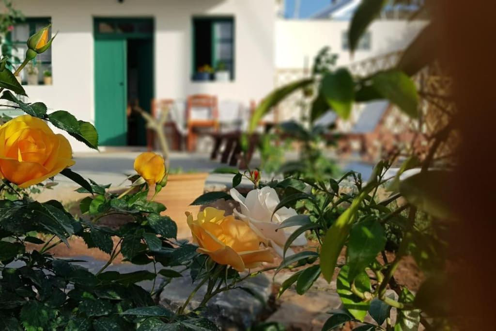Erofili Cottage House Элунда Экстерьер фото